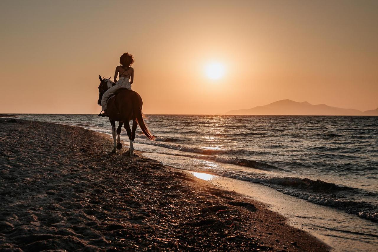 Ξενοδοχείο Meni & Κως Πόλη